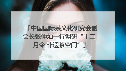 中国国际茶文化研究会副会长张仲灿一行调研“十二月令·非遗茶空间”